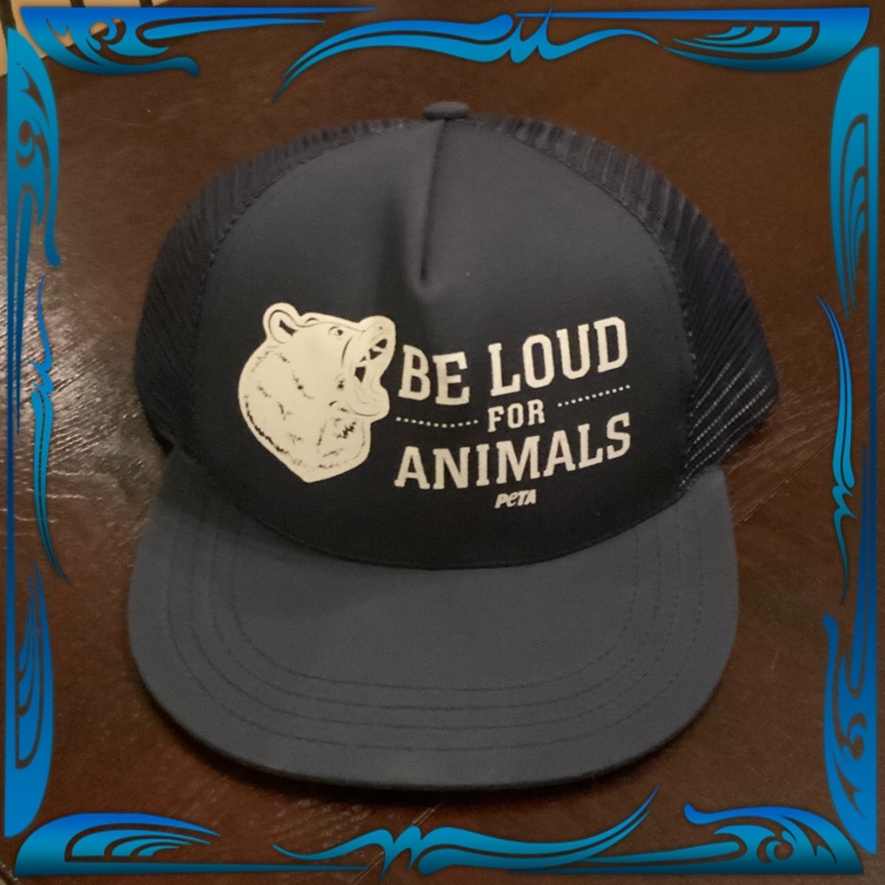 NWT Ball cap